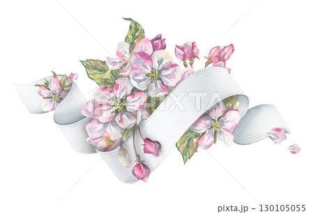 Decorative composition with apple flowers and white ribbon scroll for text, detailed hand-painted watercolor illustration, perfect for romantic cards, lettering backgrounds, and elegant design. Decorative composition with apple flowers and white ribbon scroll for text, detailed hand-painted watercolor illustration, perfect for romantic cards, lettering backgrounds, and elegant design. 130105055