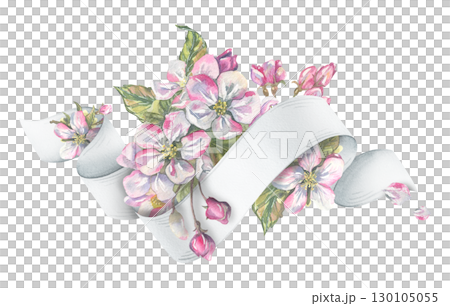 Decorative composition with apple flowers and white ribbon scroll for text, detailed hand-painted watercolor illustration, perfect for romantic cards, lettering backgrounds, and elegant design. 130105055