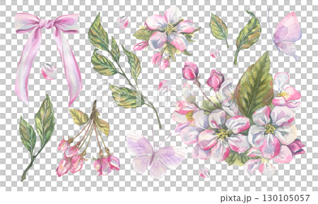 Watercolor clip art set with apple blossoms and leaves, butterflies, pink bow, tender hand-painted illustration, perfect for romantic stationery, decorative cards, and creative spring designs. 130105057