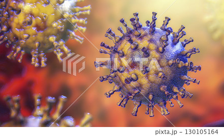 Varicella zoster or chickenpox virus 130105164