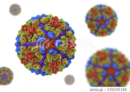 Chikungunya virus illustration 130105198