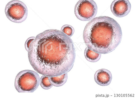 Human cells on colorful background 130105562