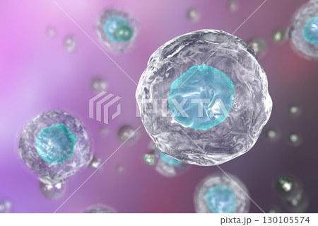 Illustratiion of human cells Illustratiion of human cells 130105574