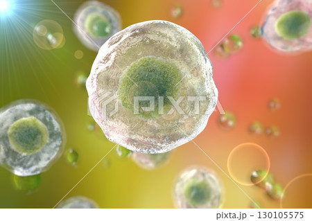 Illustratiion of human cells 130105575