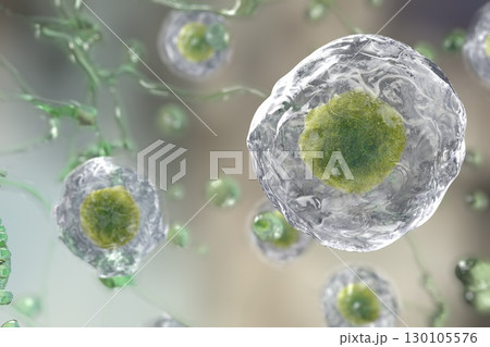 Illustratiion of human cells 130105576