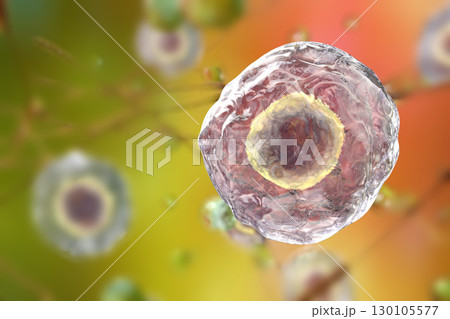 Illustratiion of human cells Illustratiion of human cells 130105577