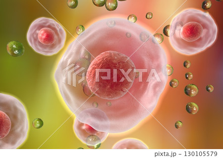 Illustratiion of human cells Illustratiion of human cells 130105579