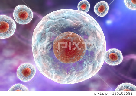 Illustratiion of human cells Illustratiion of human cells 130105582