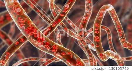 Blood vessel with flowing blood cells, 3D illustration 130105740