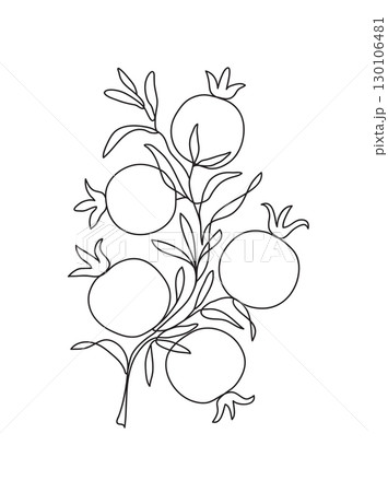 Branch with pomegranates and leaves. Modern single line art drawing. Continuous line drawing. Outline draw design vector illustration 130106481