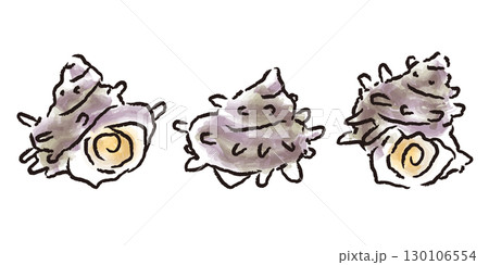 新鮮なサザエ貝　手描き筆タッチの和風イラスト 130106554