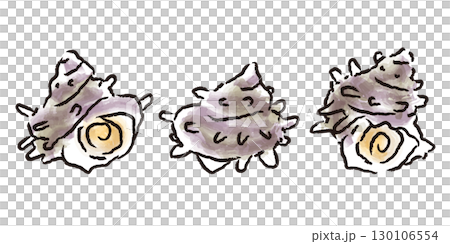 新鮮的海螺殼-手繪日式插畫 130106554