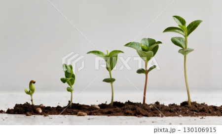 Plant Growth, Life Cycle, Organic Development. Perfect for botany, education, slow-living themes 130106915