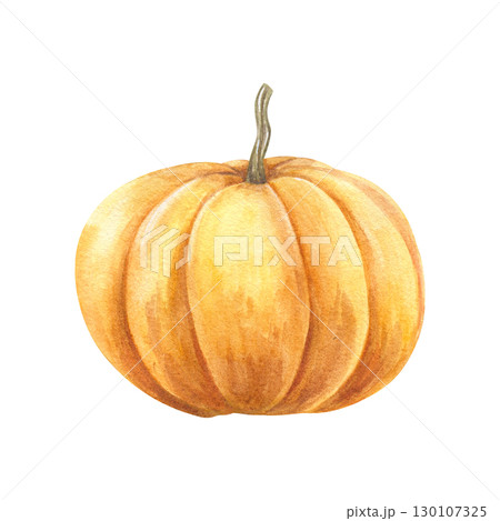 Watercolor yellow orange pumpkin illustration on isolated background. Autumn bright ripe vegetable. Hand drawn fall element for harvest decor, holiday greeting cards, vegetarian food poster. 130107325
