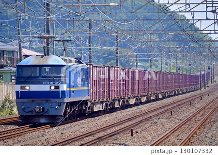 東海道本線 大磯-二宮 JR貨物 EF210-310(吹田) 東海道本線 大磯-二宮 JR貨物 EF210-310(吹田) 130107332