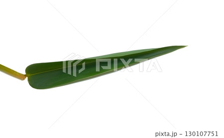 Bamboo leaves isolated on white background Bamboo leaves isolated on white background 130107751