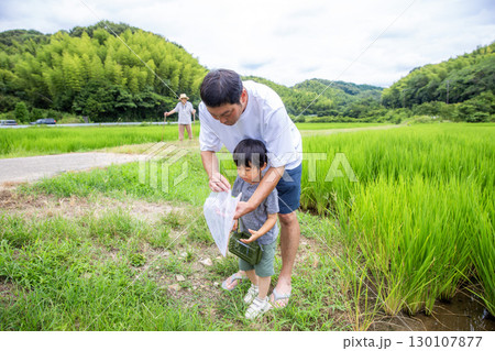 田舎で昆虫採集する日本人の親子 130107877