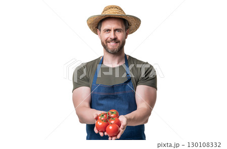 harvester in apron and hat with tomato vegetable isolated on white 130108332
