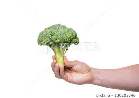 broccoli green vegetable in hand isolated on white background 130108340