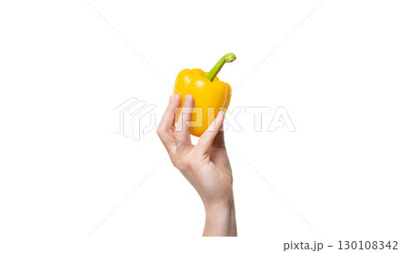 sweet pepper vegetable in hand isolated on white background. vitamin 130108342