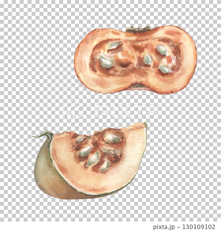 Pumpkin halves neutral watercolor set isolated. Botanical sketch pumpkin segments with seeds hand painted. Vegetables drawing in vintage style. Illustration for farm-to-table labels, recipe cards. Pumpkin halves neutral watercolor set isolated. Botanical sketch pumpkin segments with seeds hand painted. Vegetables drawing in vintage style. Illustration for farm-to-table labels, recipe cards. 130109102