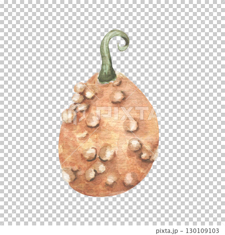 Bumpy pumpkin watercolor illustration isolated. Autumn botanical sketch gourd in warm orange tones hand painted. Fall harvest element of vegetable for seasonal packaging, labels, Thanksgiving design. 130109103