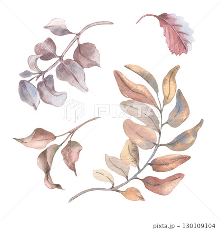 Pastel autumn foliage set. Red leaves and neutral tones branches watercolor isolated. Botanical sketches of foliage in soft beige autumn tones. Delicate plants elements drawing for seasonal designs. Pastel autumn foliage set. Red leaves and neutral tones branches watercolor isolated. Botanical sketches of foliage in soft beige autumn tones. Delicate plants elements drawing for seasonal designs. 130109104