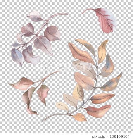 Pastel autumn foliage set. Red leaves and neutral tones branches watercolor isolated. Botanical sketches of foliage in soft beige autumn tones. Delicate plants elements drawing for seasonal designs. Pastel autumn foliage set. Red leaves and neutral tones branches watercolor isolated. Botanical sketches of foliage in soft beige autumn tones. Delicate plants elements drawing for seasonal designs. 130109104
