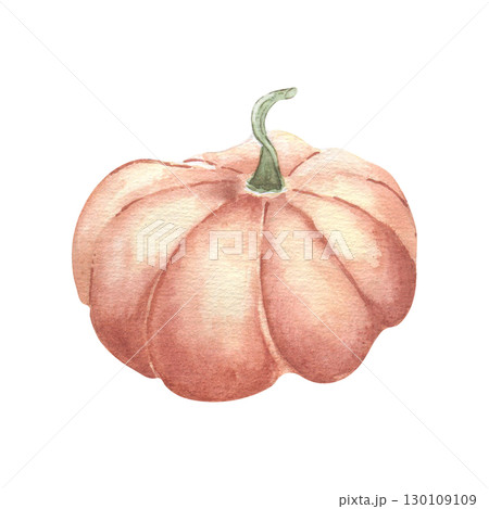 Large orange pumpkin watercolor illustration isolated. Botanical sketch vegetable hand painted in pastel autumn tones. Gourd drawing for seasonal branding, Thanksgiving decor, farm fresh packaging. 130109109