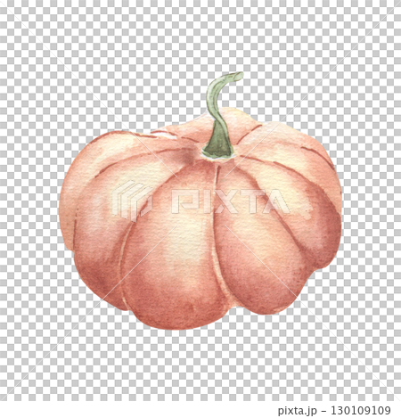 Large orange pumpkin watercolor illustration isolated. Botanical sketch vegetable hand painted in pastel autumn tones. Gourd drawing for seasonal branding, Thanksgiving decor, farm fresh packaging. 130109109