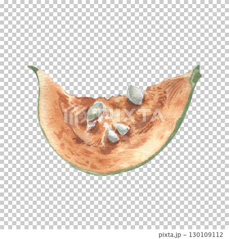 Pumpkin slice watercolor illustration isolated on white. Realistic botanical sketch pumpkin piece with seeds hand painted vintage style. Cut vegetable for seasonal packaging, farm to table designs. 130109112