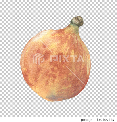 Small round orange pumpkin watercolor illustration isolated on white. Realistic botanical sketch gourd hand drawn. Charming autumn harvest element for seasonal fall labels, Thanksgiving designs. 130109113