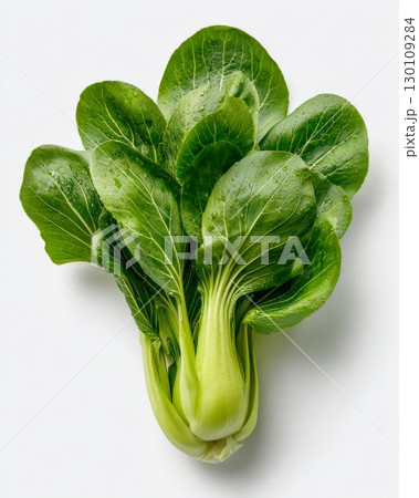Fresh green bok choy with dark green leaves and light green stems. 130109284