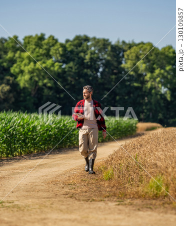 Farmer man working on field with tablet. Hispanic farmer with tablet check harvest. Crop harvest. Farmer agronomist man with tablet in field. Technology of modern agriculture. Autumn harvest bounty 130109857