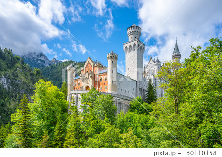 Neuschwanstein Castle stands proudly atop a hillside, surrounded by vibrant green trees under a clear blue sky. This enchanting structure showcases classic fairy tale architecture in Bavaria, Germany. 130110158