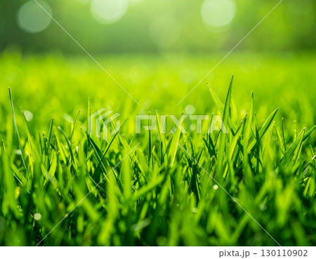 緑の芝生を接写したテクスチャ、明るく新鮮な色合い 130110902