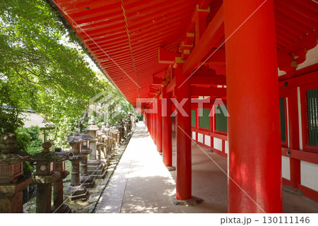 世界遺産 春日大社の朱塗り回廊 130111146