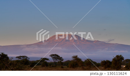 朝日に染まるキリマンジャロ山の頂 130111624