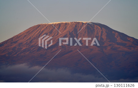 朝日に染まるキリマンジャロの雪化粧 130111626