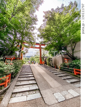 新緑に覆われた神社の参道 130111797