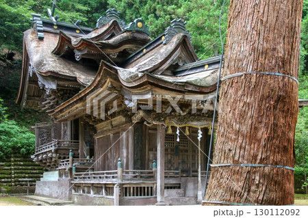 大瀧神社・岡太神社 大瀧神社・岡太神社 130112092
