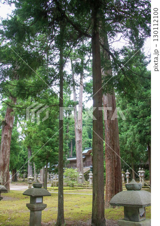 大瀧神社・岡太神社 大瀧神社・岡太神社 130112100