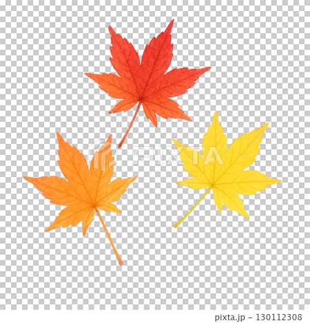 Autumn maple leaf set Autumn fallen leaves illustration material (cutout PNG) 130112308