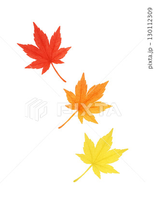 紅葉したモミジの葉セット 秋の落ち葉イラスト素材（切り抜きPNG） 130112309