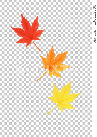 紅葉したモミジの葉セット 秋の落ち葉イラスト素材（切り抜きPNG） 130112309
