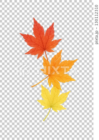 紅葉したモミジの葉セット 秋の落ち葉イラスト素材（切り抜きPNG） 130112310