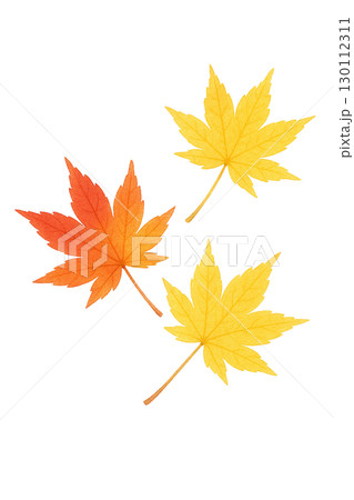 紅葉したモミジの葉セット 秋の落ち葉イラスト素材（切り抜きPNG） 130112311