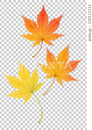紅葉したモミジの葉セット 秋の落ち葉イラスト素材（切り抜きPNG） 130112312