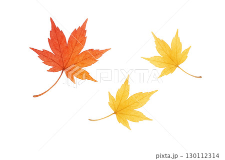 紅葉したモミジの葉セット 秋の落ち葉イラスト素材（切り抜きPNG） 130112314