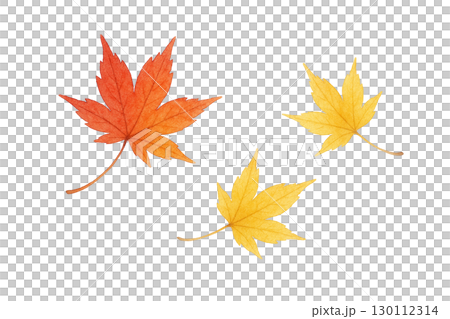 紅葉したモミジの葉セット 秋の落ち葉イラスト素材（切り抜きPNG） 130112314